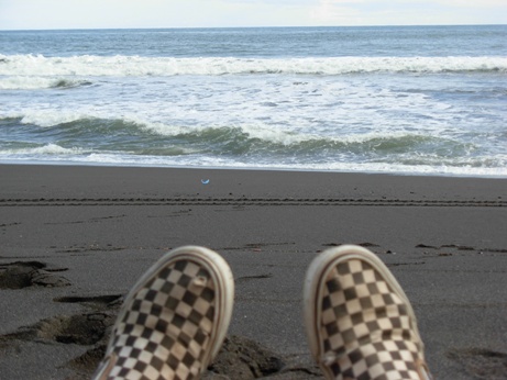 a photo of vans skateshoes looking out at paciifc ocean in costa rica