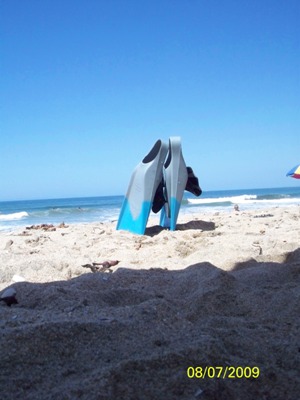 a set of surf fins stuck upright in the sand