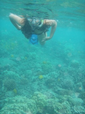 girl snorkeling over coral