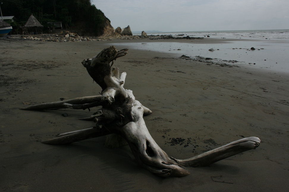 photograph of beach in ecuador