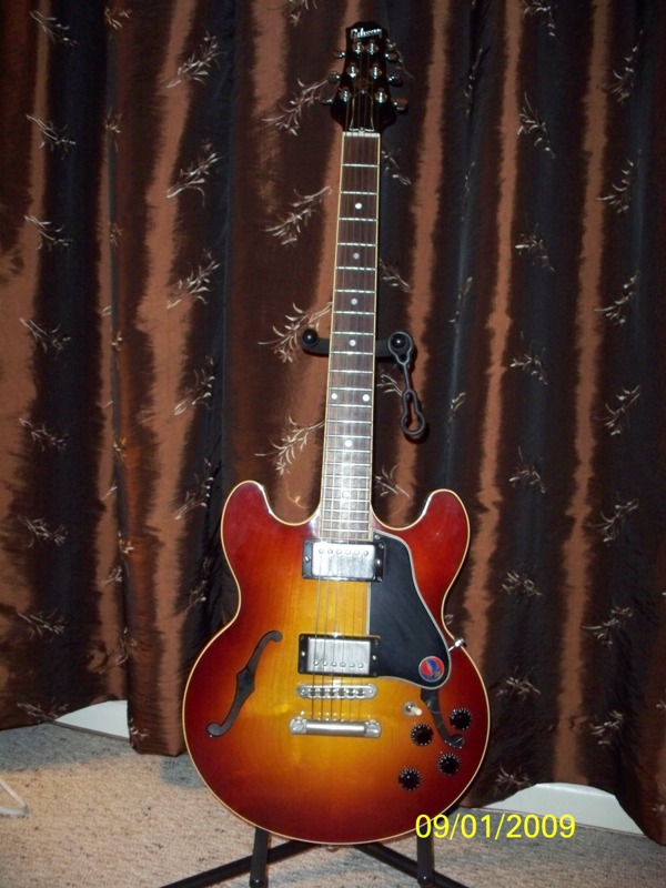 photo of gibson es336