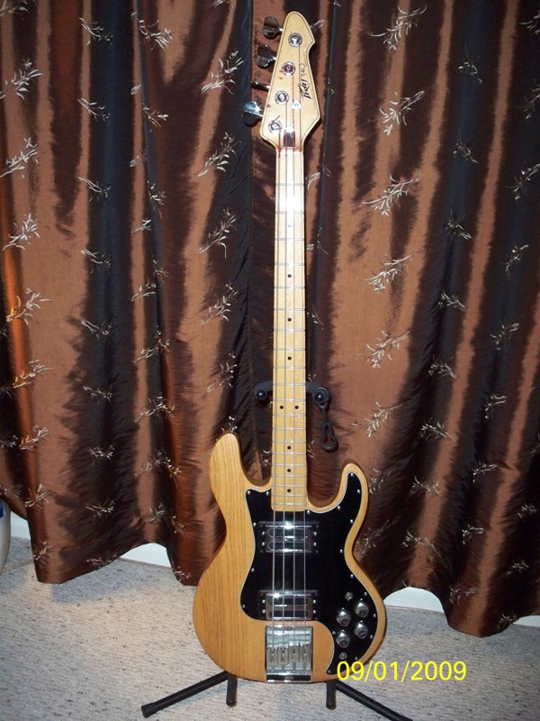 photo of peavey t-40