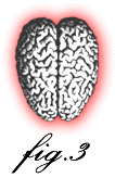 illlustration of brain